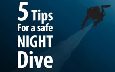 5 tips for a safe Night Dive: Specialty Certification Course